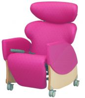 Riser And Recliners Independent Help Advice Riser Recliner Chairs Category