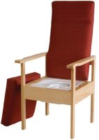 T60 shower online chair