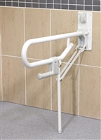 Toilet rails