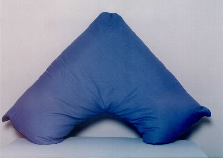 V Shaped Cushion