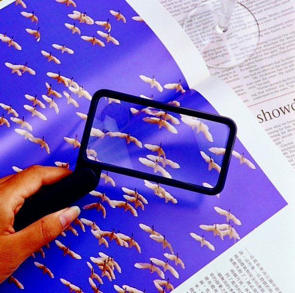 Folding Magnifying Glass 1