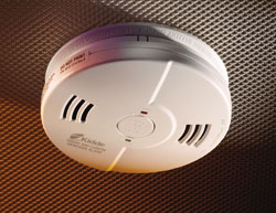 Talking Smoke And Carbon Monoxide Detector 1