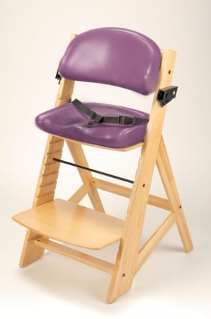 special tomato high chair
