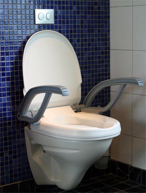 Dolphin Toilet Seat Raiser With Armrests 1