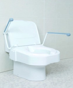 Raised Toilet Seat with Armrests 1