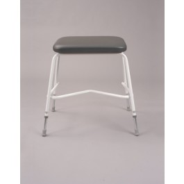 Extra Wide Perching Stool with Arms & Padded Back 1