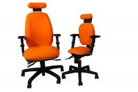 Adapt 200 Ergonomic Chair 1