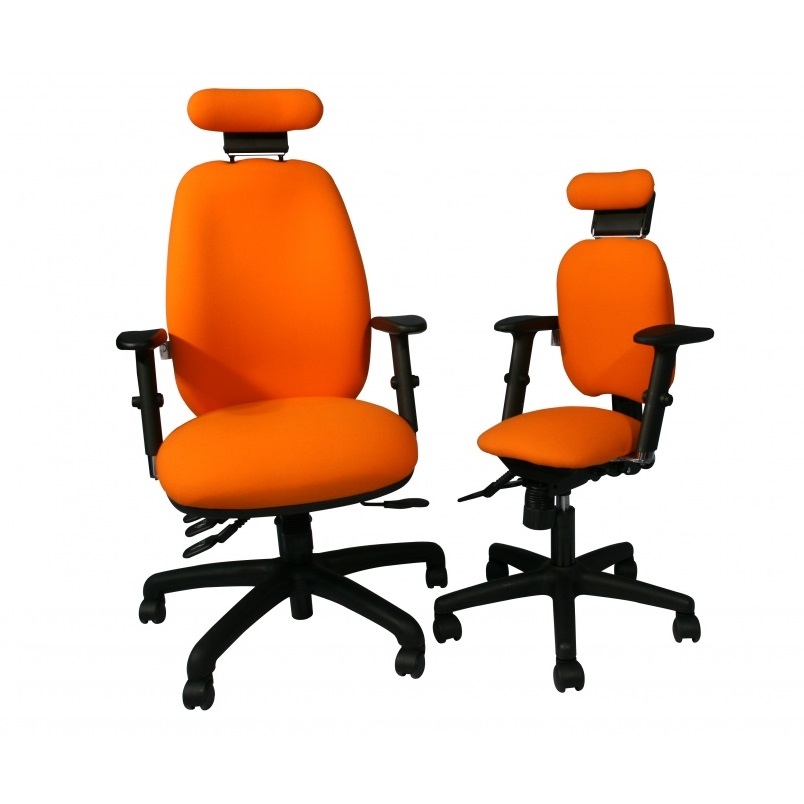 Adapt 200 Ergonomic Chair 2