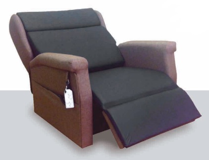 Express Bariatric Dual Motor Lift & Recline Chair 1