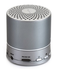 Sound Oasis BST100 Bluetooth Speaker
