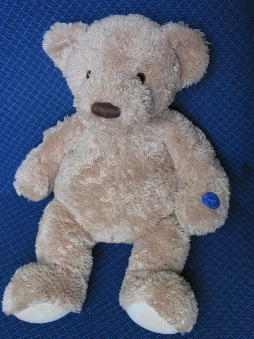 Arthur Musical Teddy Bear 1