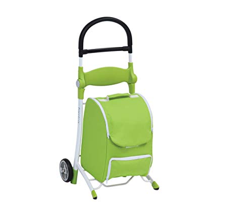 Shopping Trolley with Seat 1