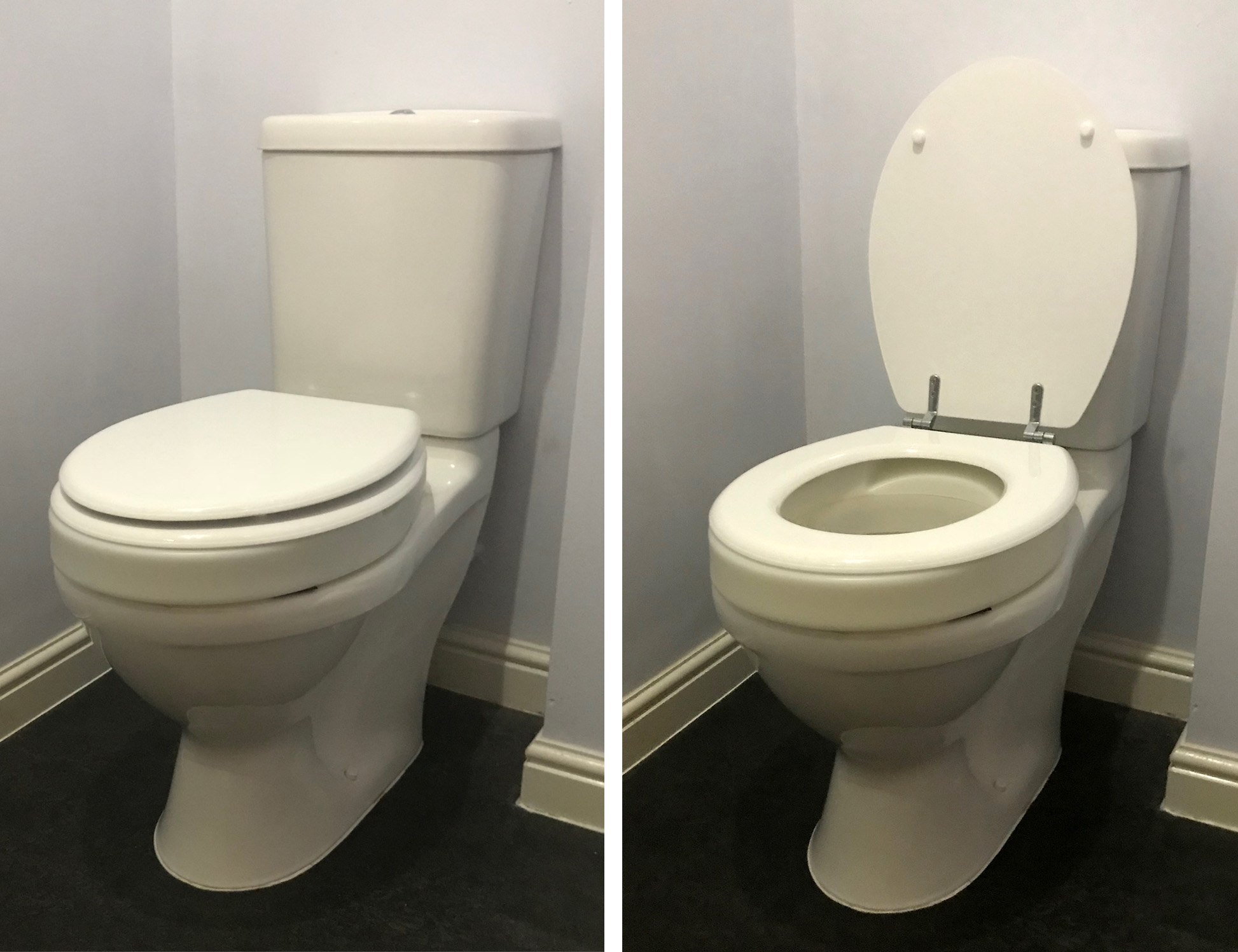 Throne Toilet Raiser 1