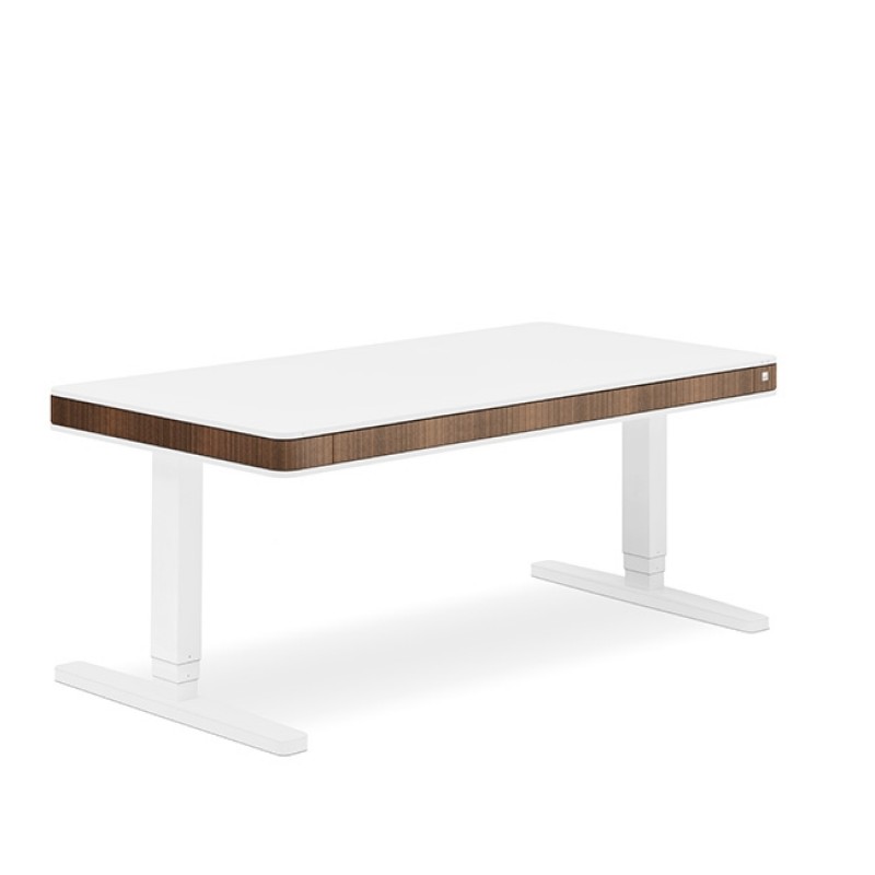 Moll T7 Electric & Sit-Stand Desk 1
