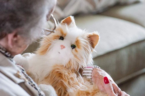 Tabby Cat Dementia Companion Pet 1